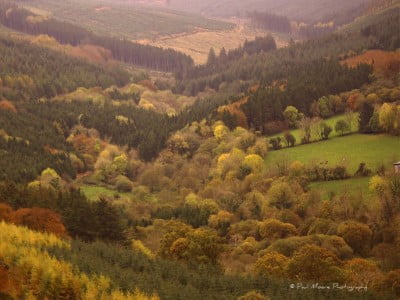 Slieve Bloom View