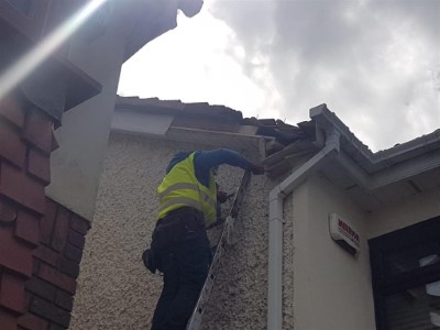 Roof repair in Laois