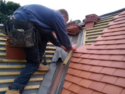 Roof repair in Laois