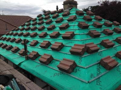 Repairing Damaged Roof in Tipperary